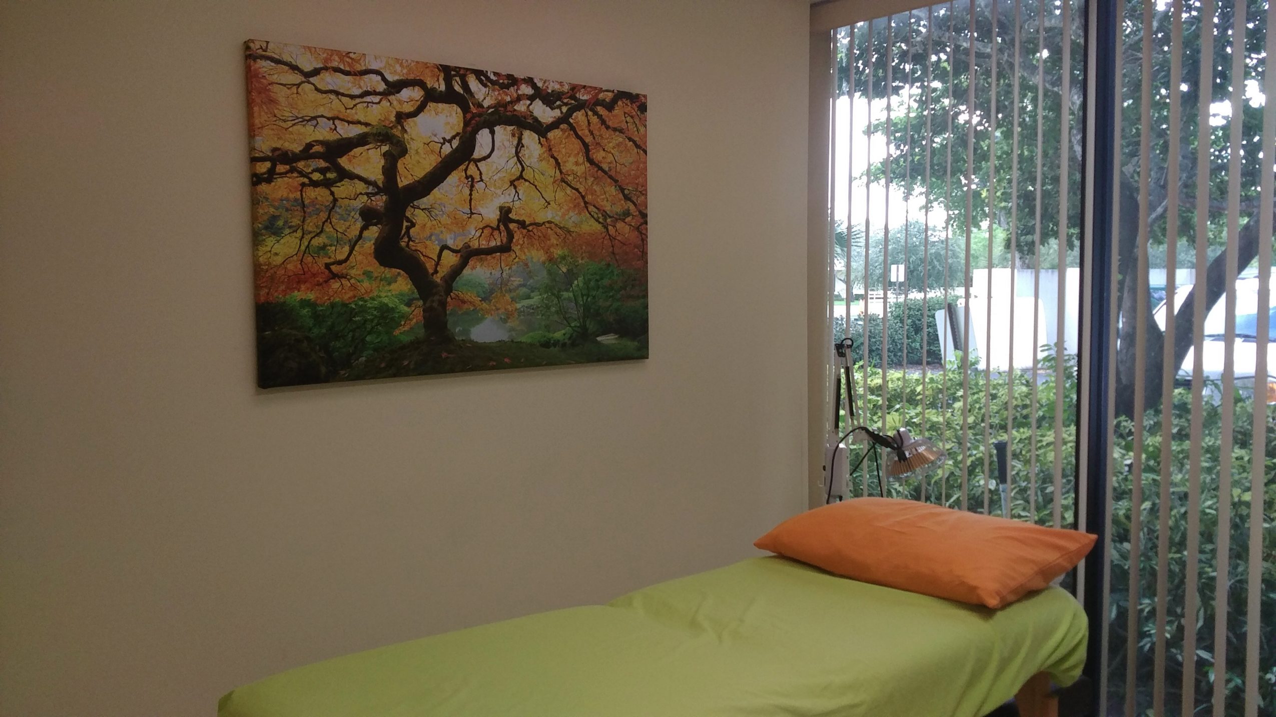 Meet Suzanne Swearengen of Acupuncture & Wellness Center of Florida